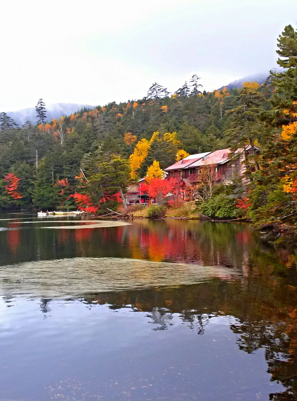 湖畔に建つ山小屋と白駒池の紅葉
