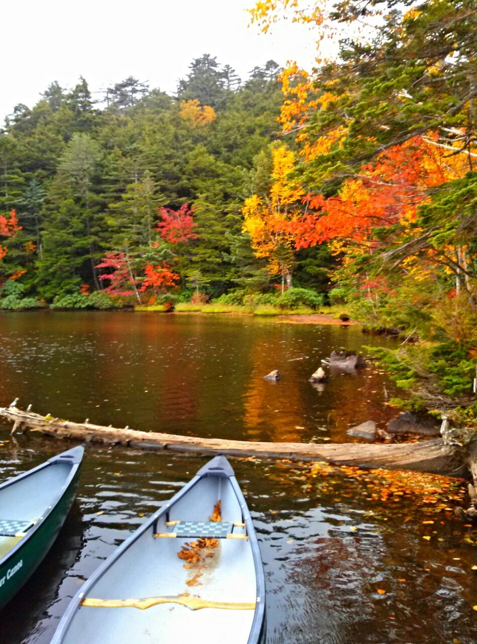 湖畔につながれたボートと紅葉