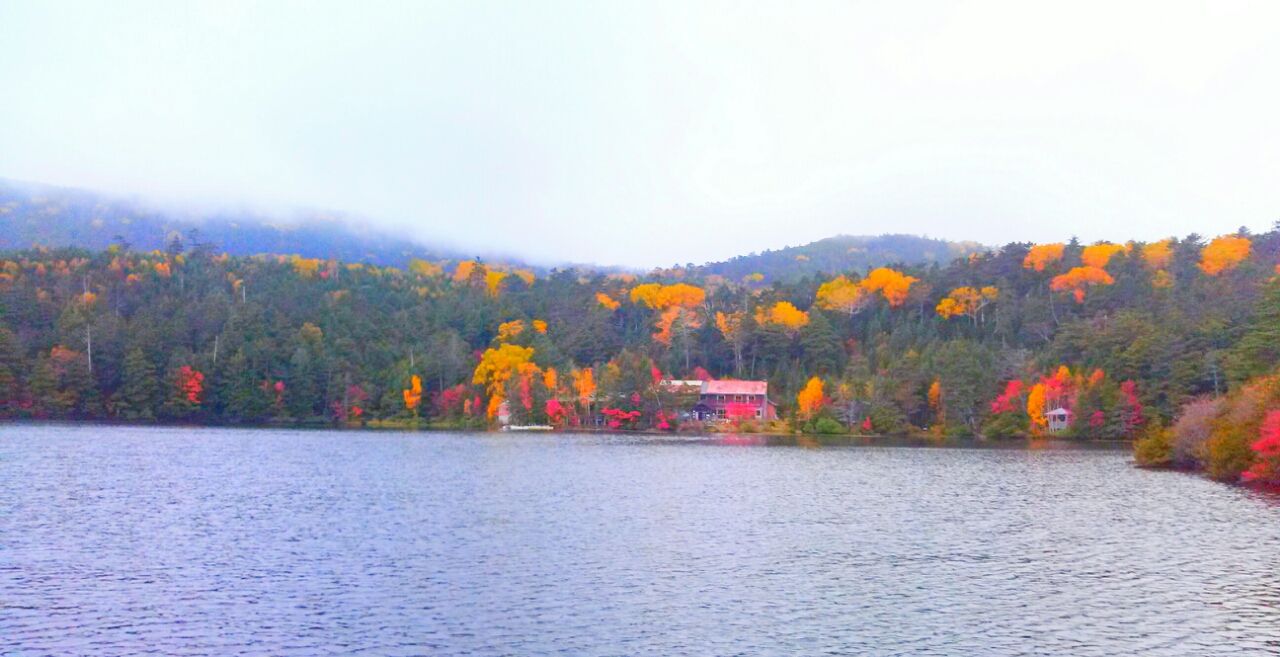 紅葉に囲まれた白駒池の全景