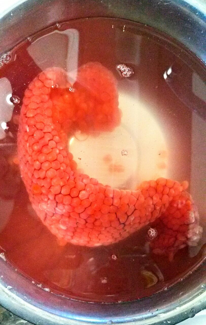 生筋子を塩水でほぐす いくらの醤油漬けの作り方